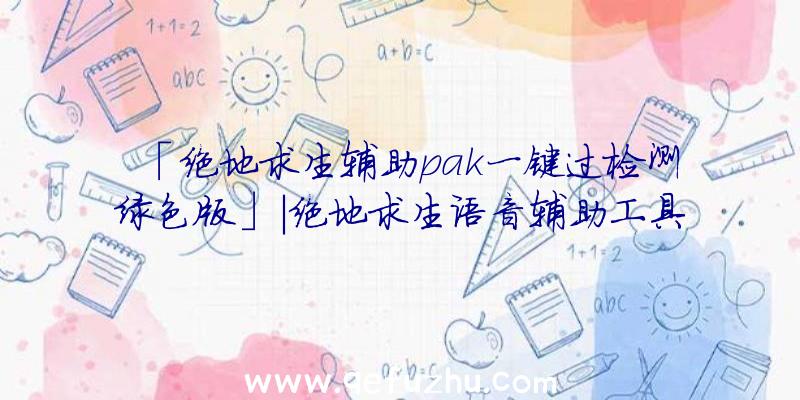 「绝地求生辅助pak一键过检测绿色版」|绝地求生语音辅助工具